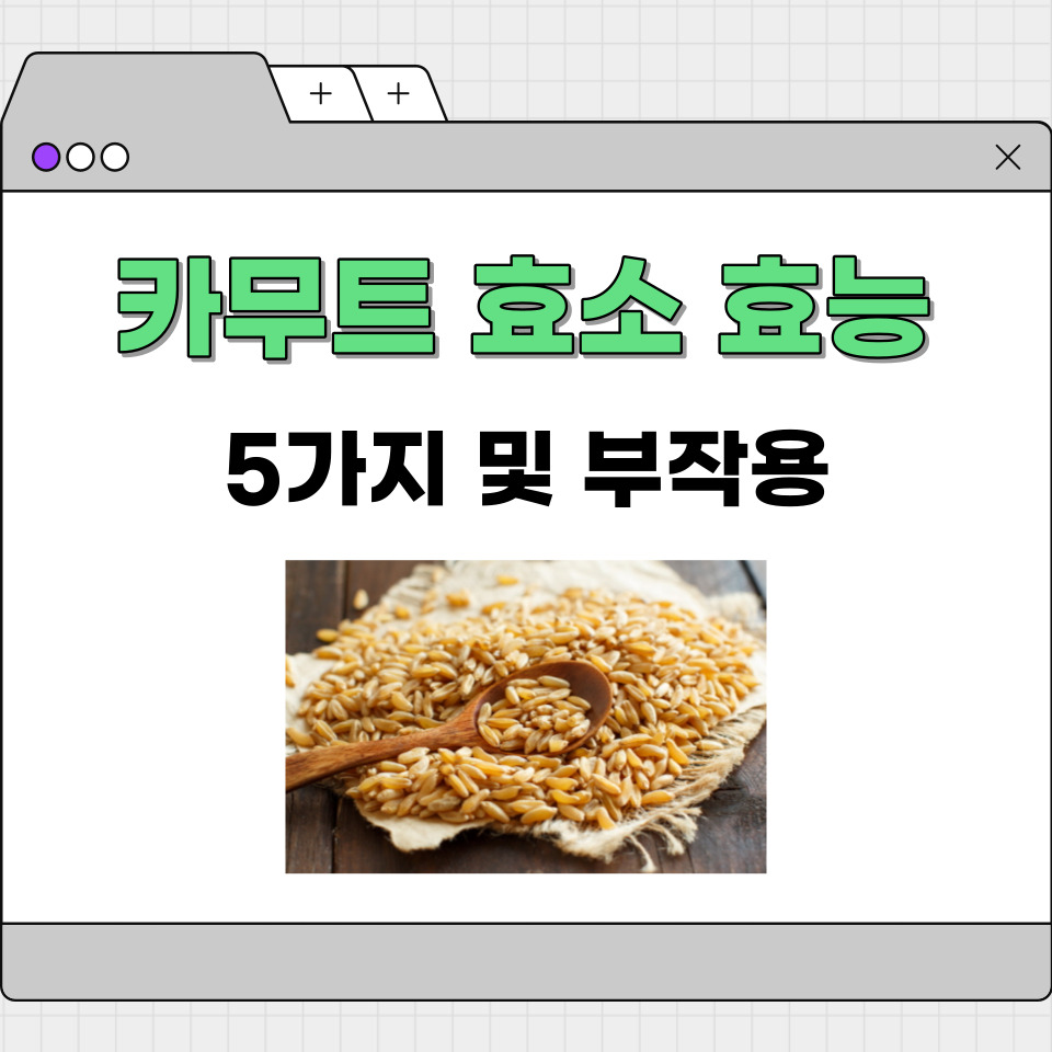 카무트 효소 효능