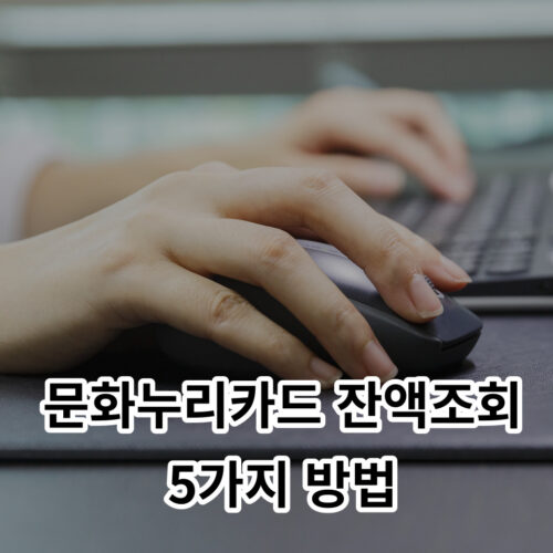 문화누리카드 잔액조회