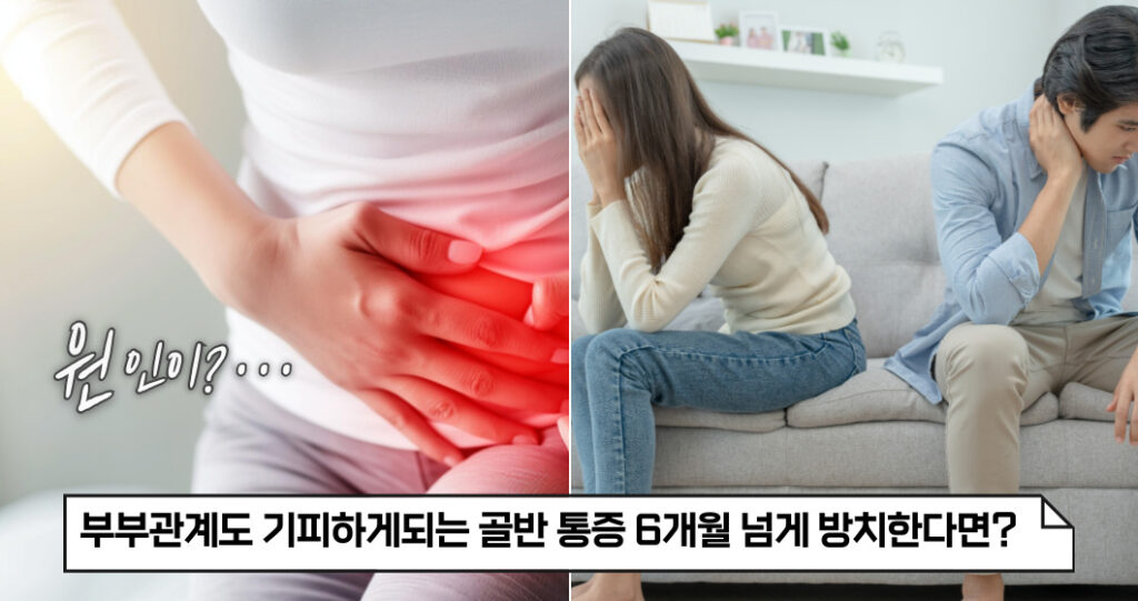 여자 왼쪽 골반 통증