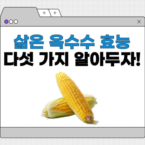 삶은 옥수수 효능