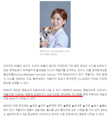 강아지 빈혈에 좋은 음식