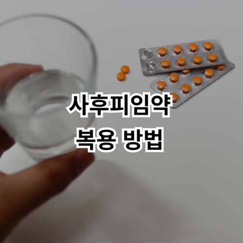 사후피임약 술