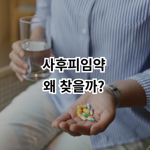 사후피임약 술