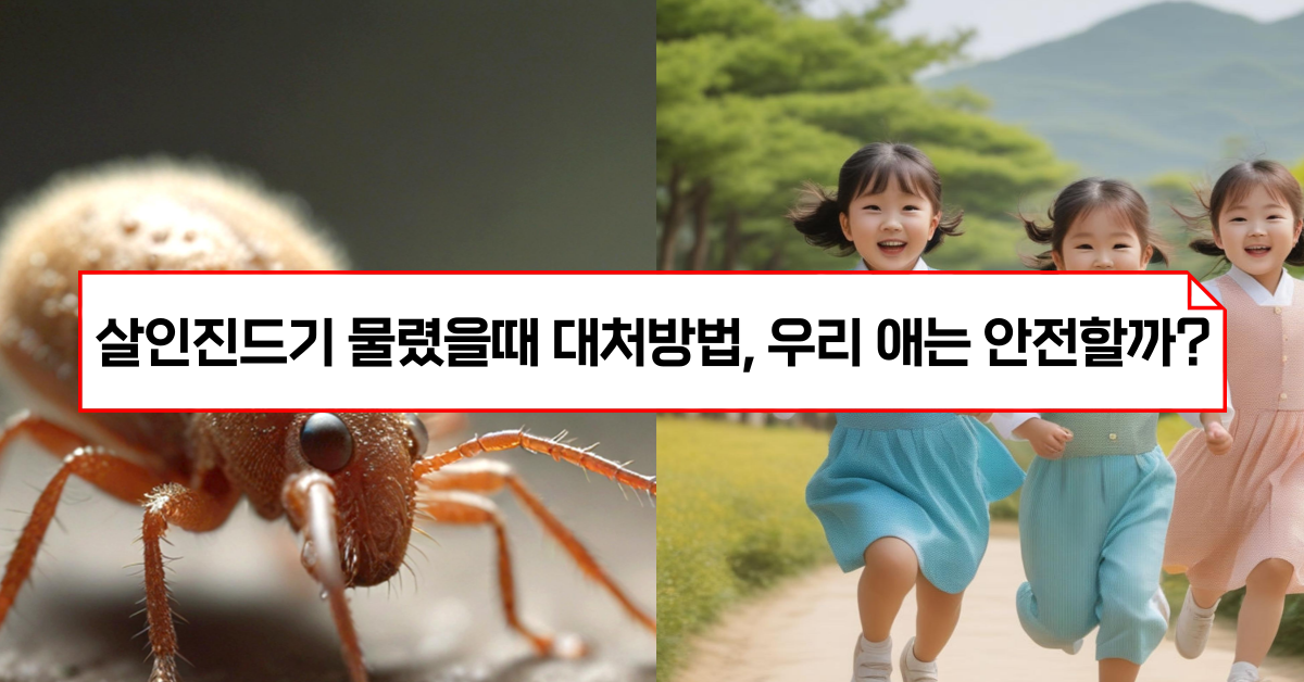 진드기 물렸을때