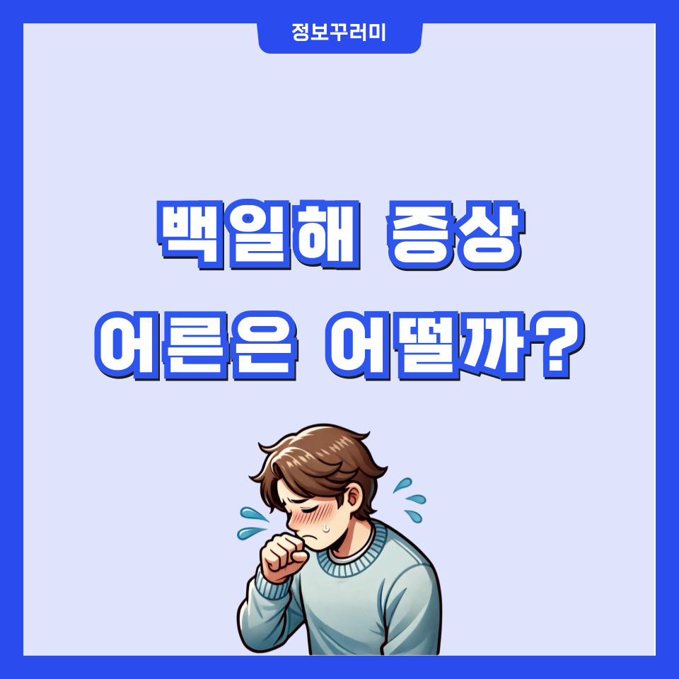 백일해 증상 어른