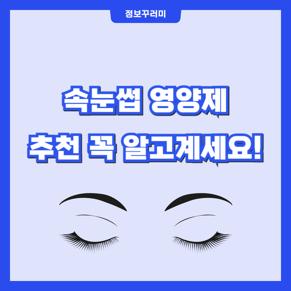 속눈썹 영양제 추천