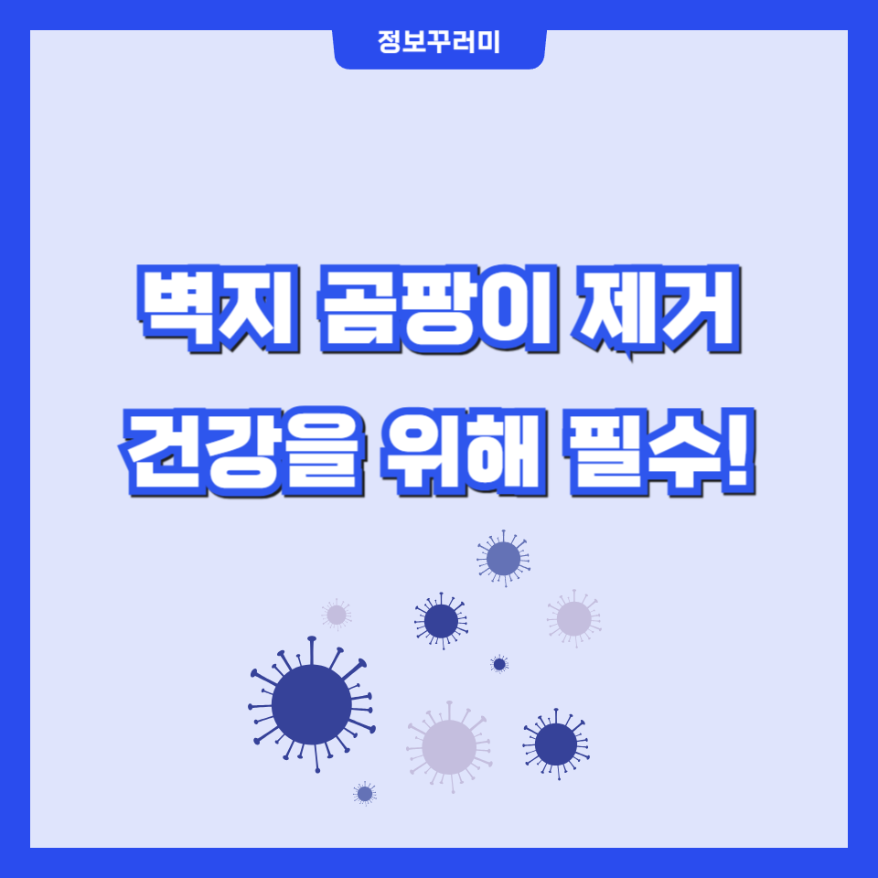 벽지 곰팡이 제거