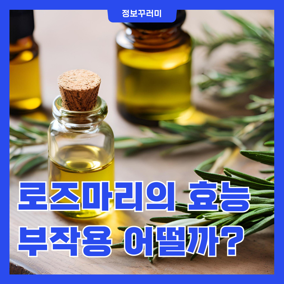 로즈마리 효능