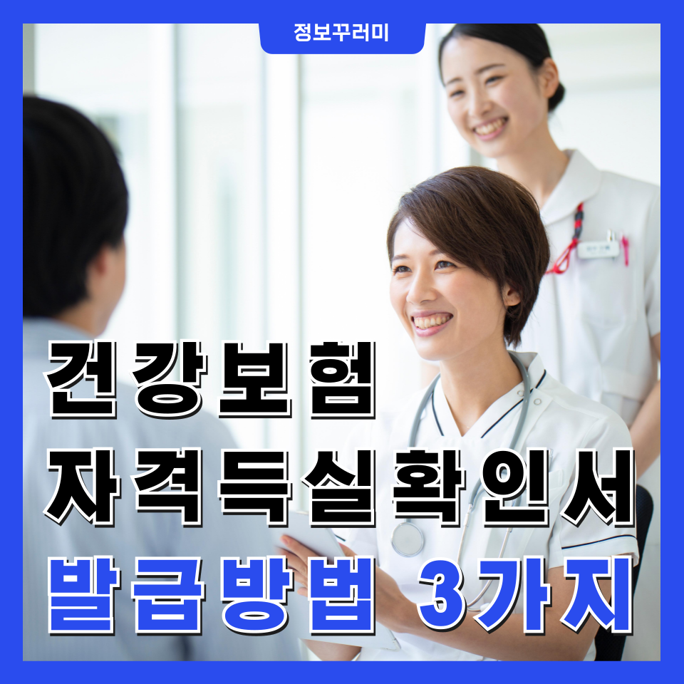 건강보험자격득실확인서 발급