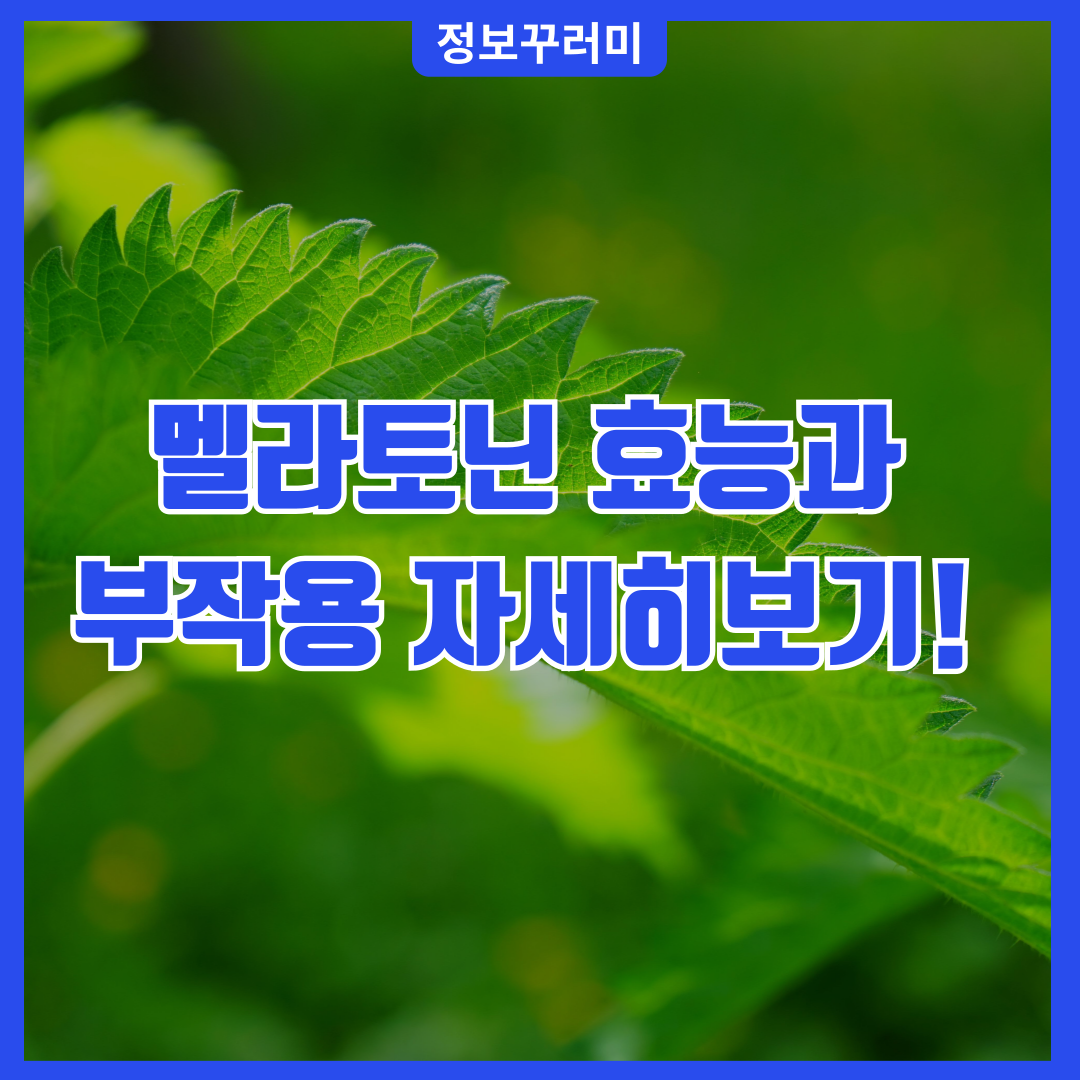 멜라토닌 효능