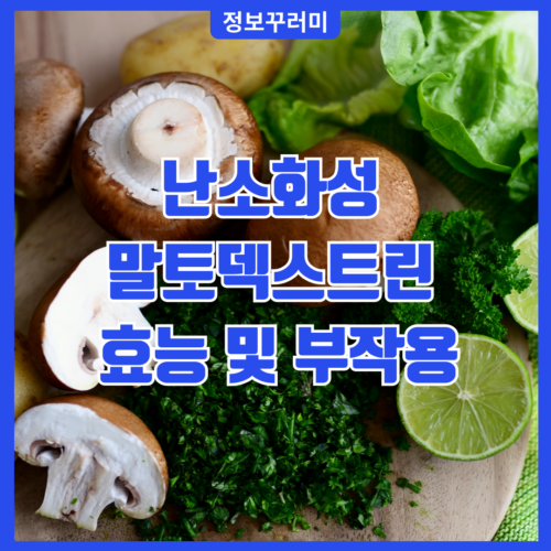 난소화성 말토덱스트린 효능