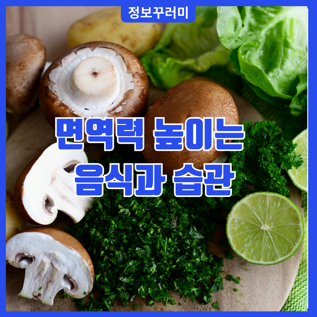 면역력 높이는 음식