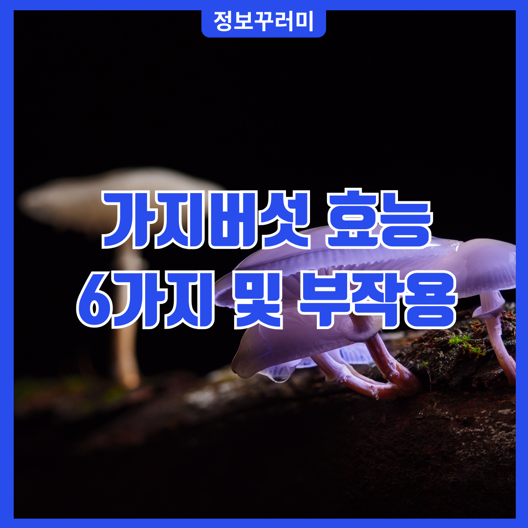 가지버섯 효능