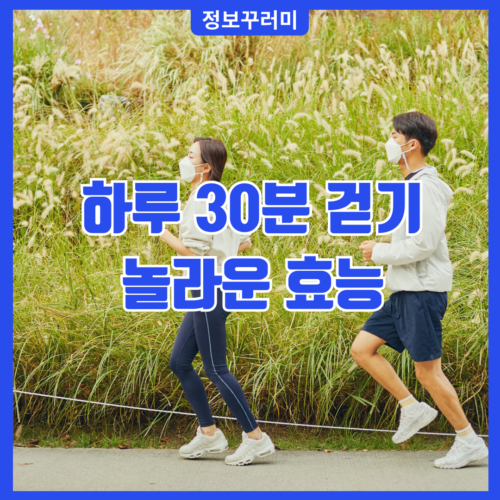 하루 30분 걷기