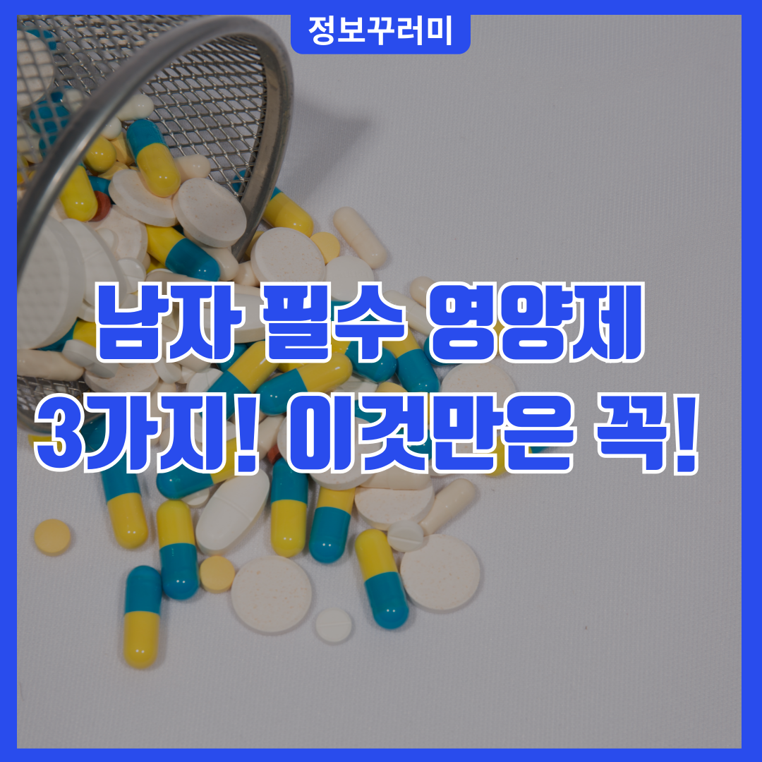 남자 필수 영양제