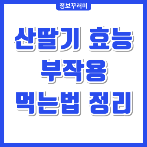 산딸기 효능
