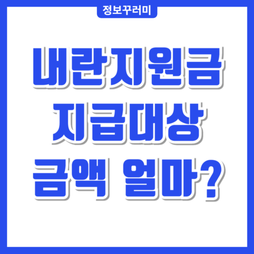 내란지원금
