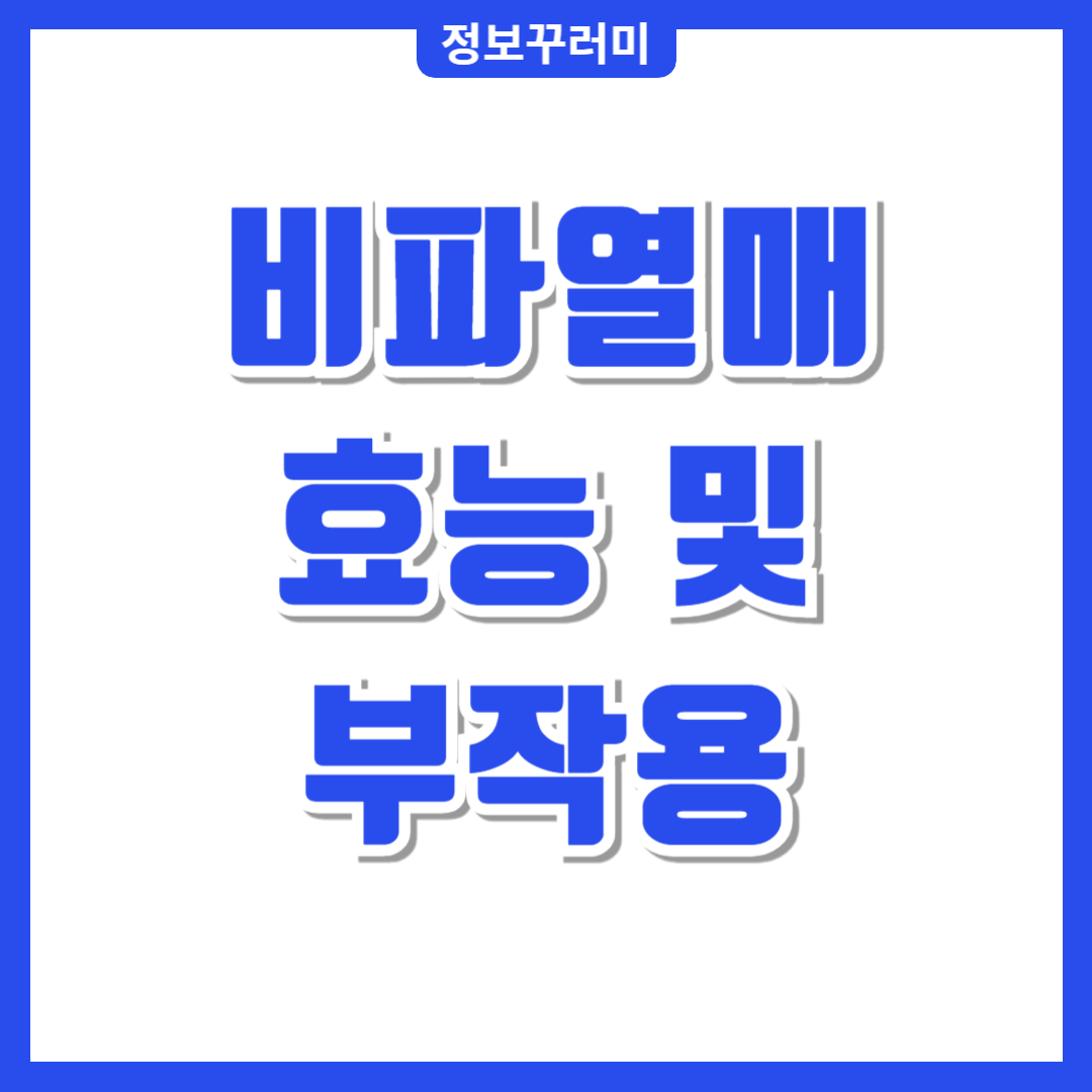 비파열매효능