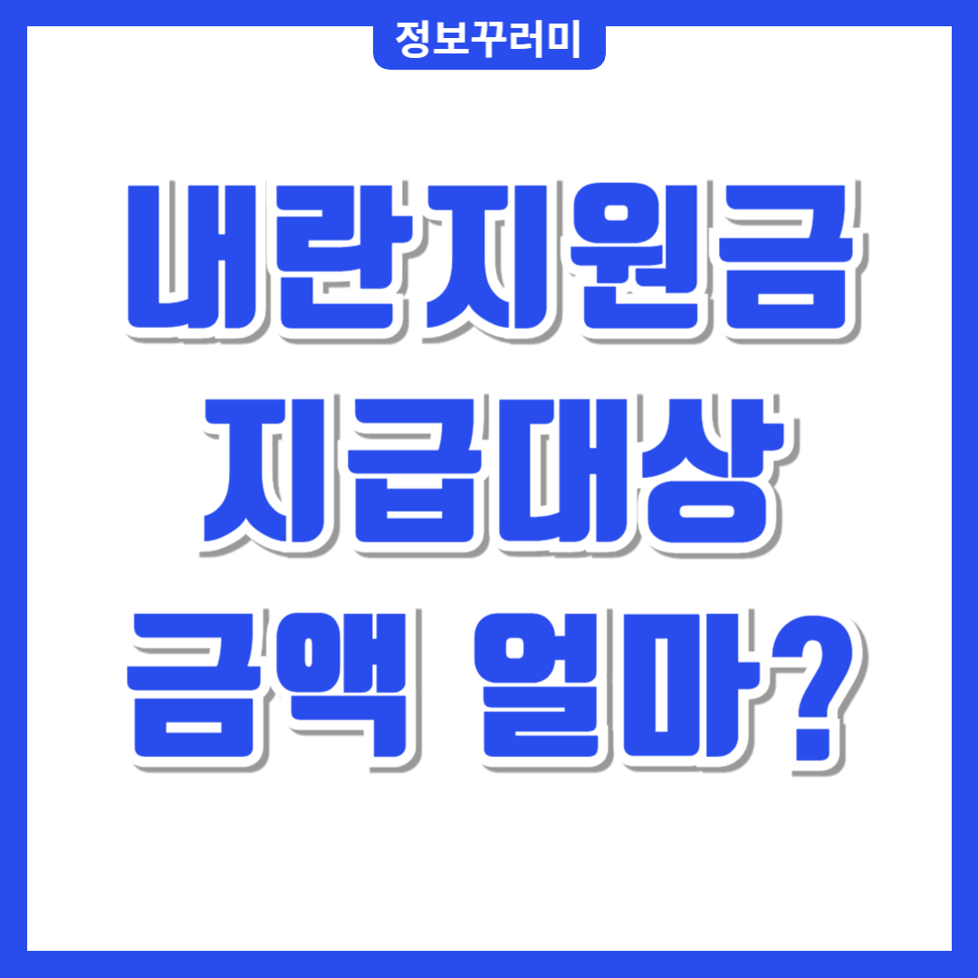 내란지원금