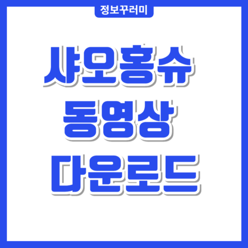 샤오홍슈 동영상 다운로드