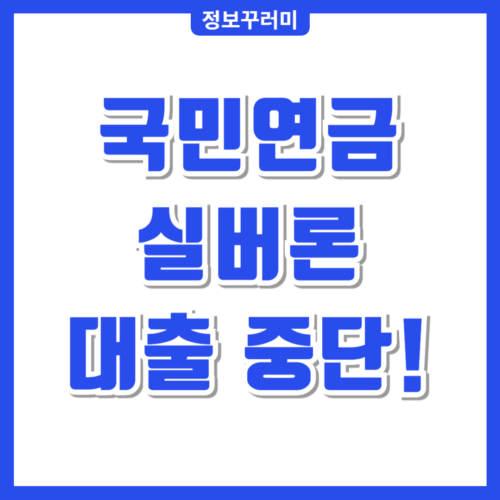 국민연금 실버론