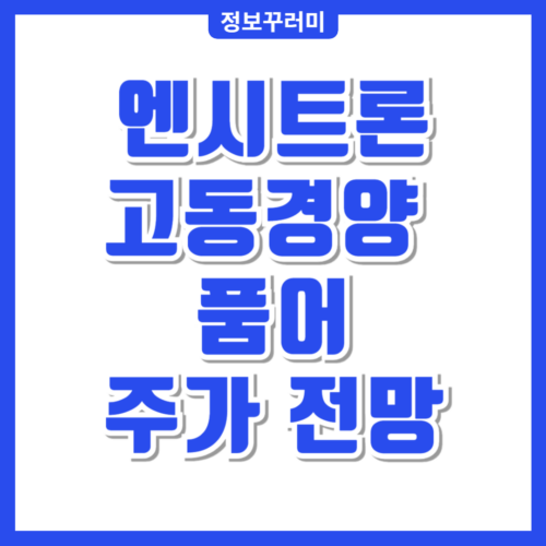엔시트론 주가