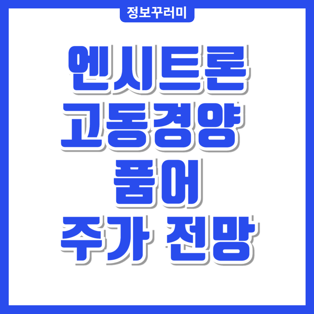 엔시트론 주가