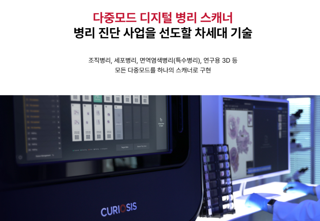 큐리오시스 공모주