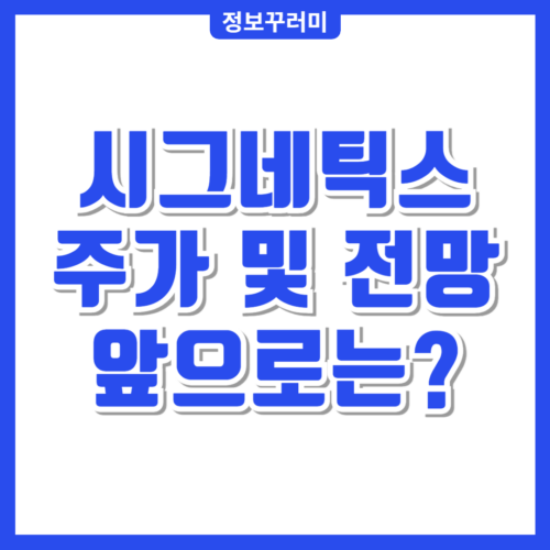 시그네틱스 주가
