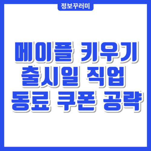 메이플 키우기 출시일