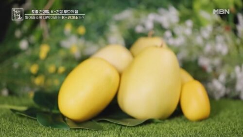 "망고참외 왜 인기지?" 파는 곳 효능 이 정도라고?