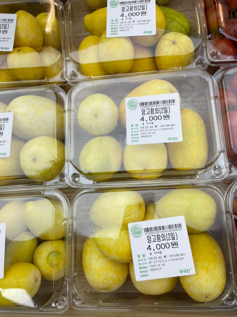 "망고참외 왜 인기지?" 파는 곳 효능 이 정도라고?