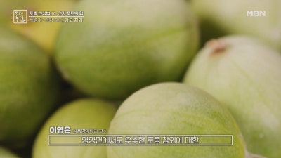 "망고참외 왜 인기지?" 파는 곳 효능 이 정도라고?