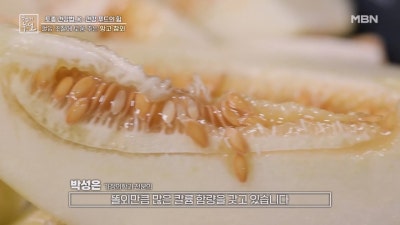 "망고참외 왜 인기지?" 파는 곳 효능 이 정도라고?