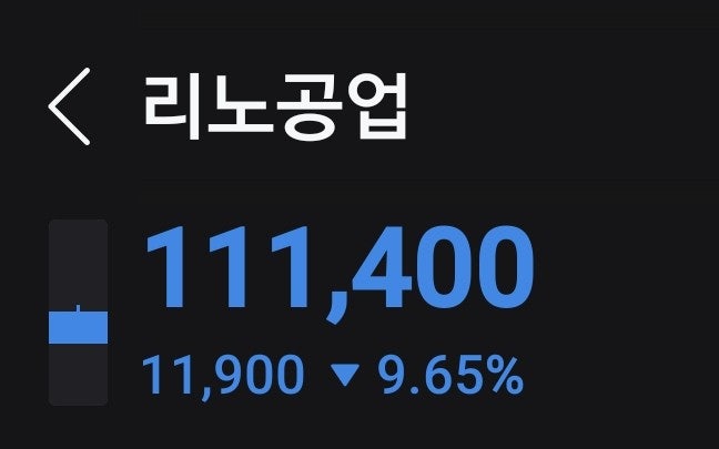 리노공업 폭락이유? 8,600억 원 규모의 블록딜